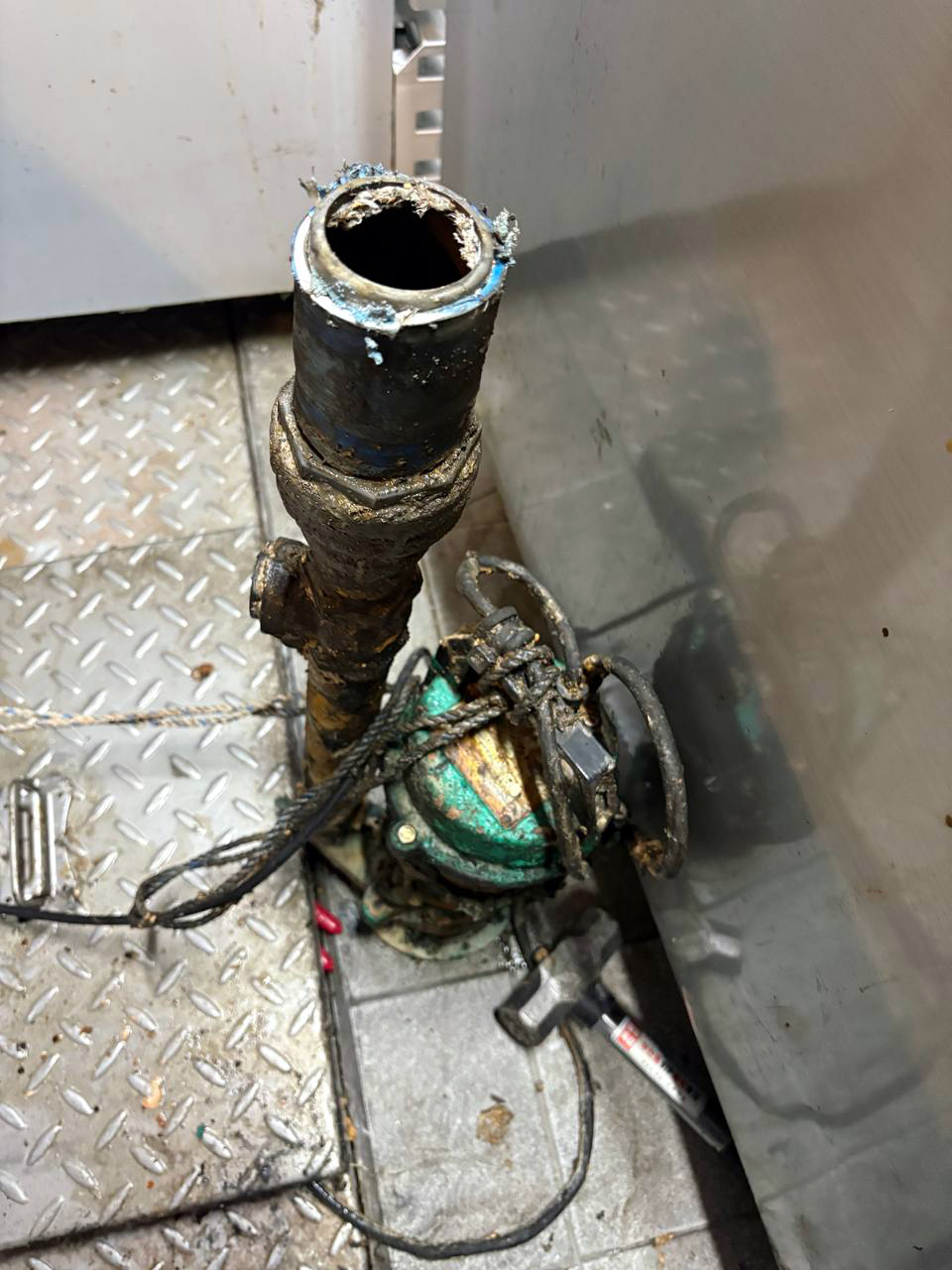 f3c9b476b3d7d8ffd3886f89d45d7e66_1765376021_5877.jpg f3c9b476b3d7d8ffd3886f89d45d7e66_1765376021_5877.jpg