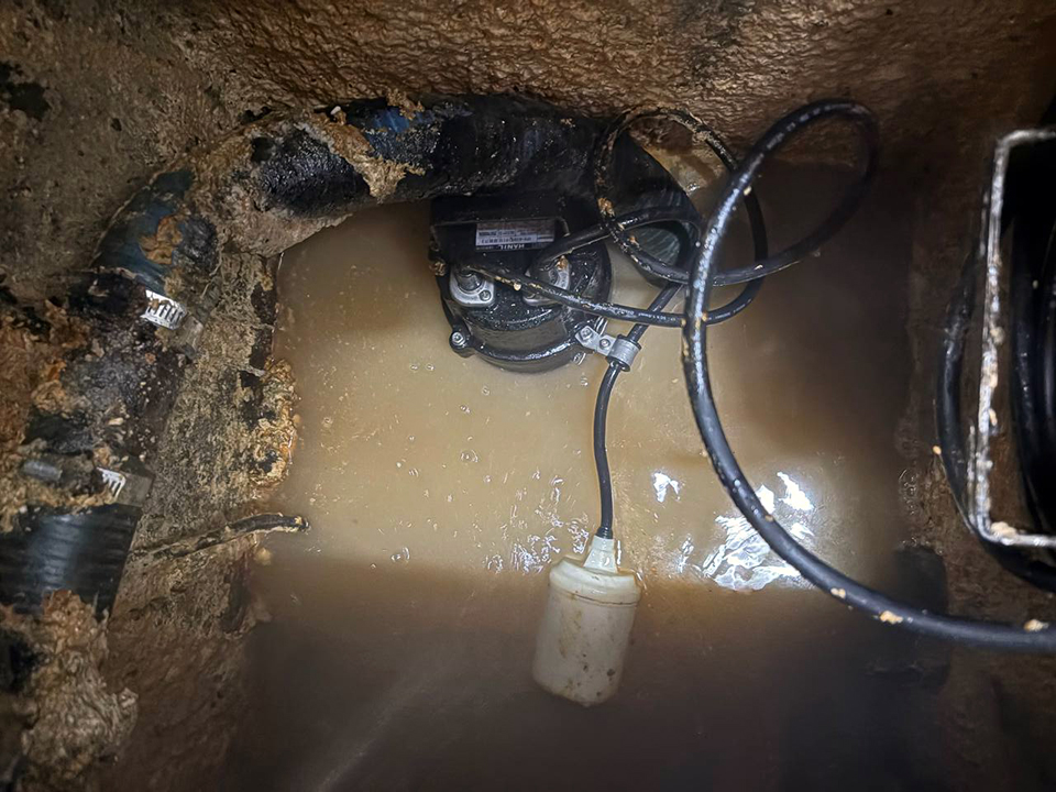 f3c9b476b3d7d8ffd3886f89d45d7e66_1765376111_5267.jpg f3c9b476b3d7d8ffd3886f89d45d7e66_1765376111_5267.jpg