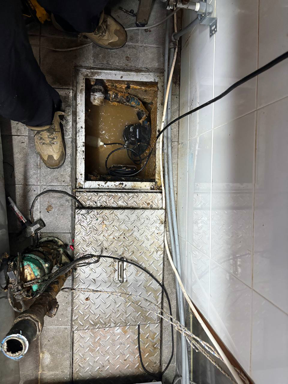 f3c9b476b3d7d8ffd3886f89d45d7e66_1765376319_0791.jpg f3c9b476b3d7d8ffd3886f89d45d7e66_1765376319_0791.jpg