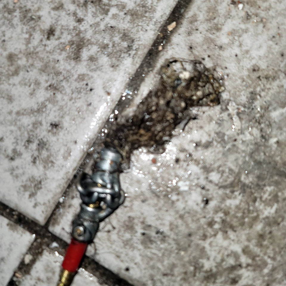 ca3e867f04c475331c82805440c7ccb6_1769315465_0301.jpg ca3e867f04c475331c82805440c7ccb6_1769315465_0301.jpg