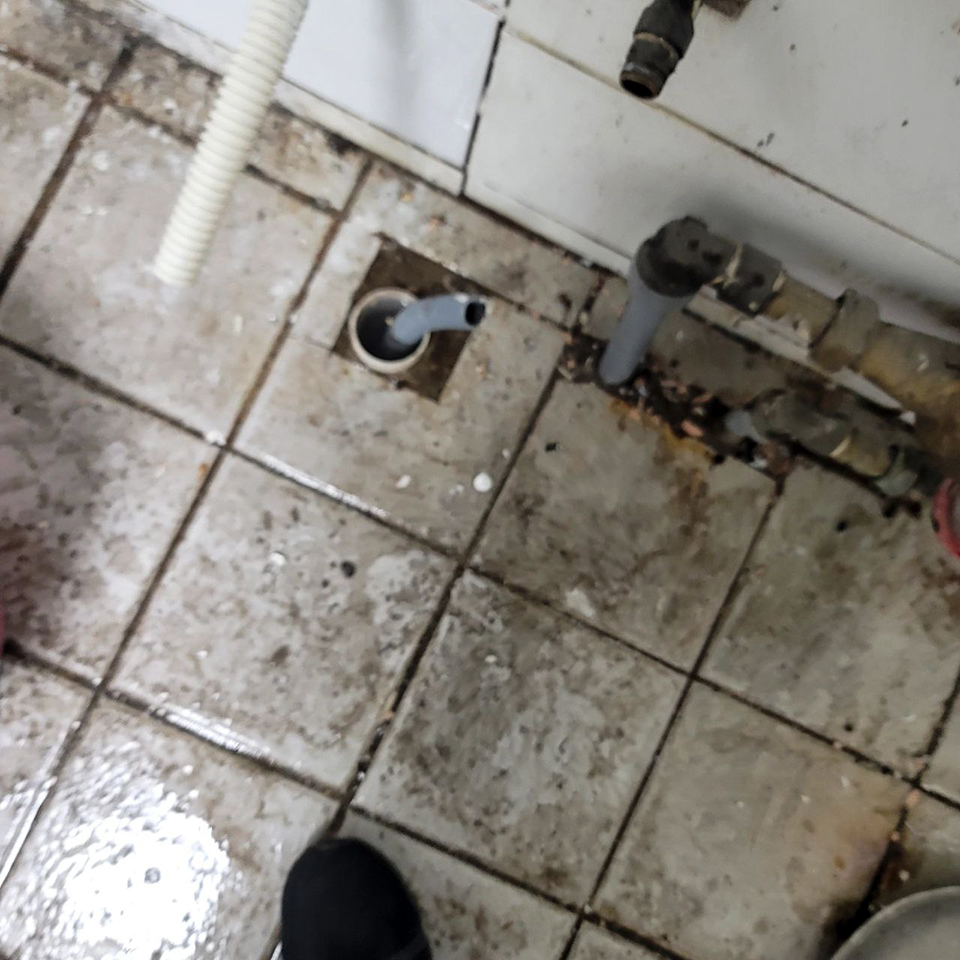 ca3e867f04c475331c82805440c7ccb6_1769315511_3821.jpg ca3e867f04c475331c82805440c7ccb6_1769315511_3821.jpg