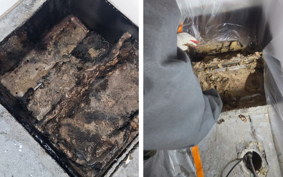 15fe80a5ecdc8fdf7b25091091da2d42_1774498526_6713.jpg 15fe80a5ecdc8fdf7b25091091da2d42_1774498526_6713.jpg