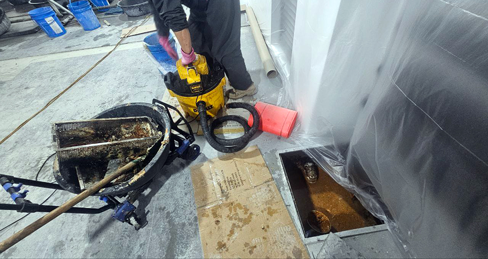 15fe80a5ecdc8fdf7b25091091da2d42_1774498714_1421.jpg 15fe80a5ecdc8fdf7b25091091da2d42_1774498714_1421.jpg