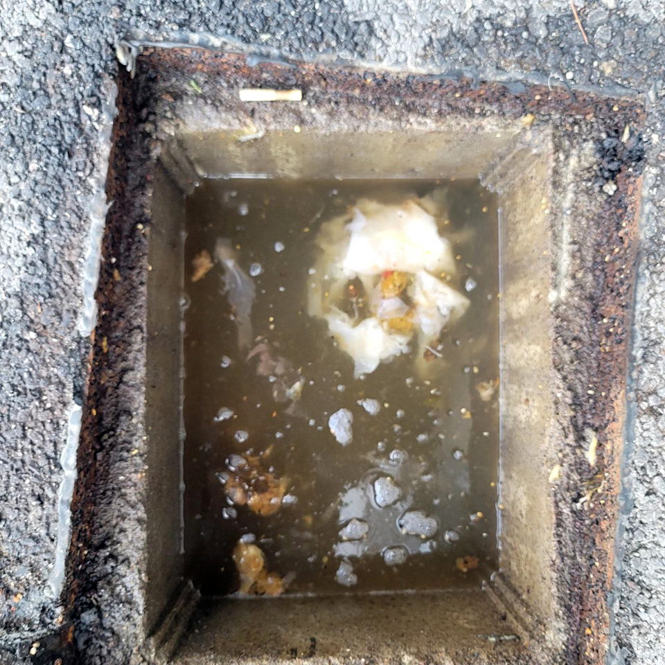 2ed469049671ecf17ae78a48f9d92f1e_1772938942_8281.jpg 2ed469049671ecf17ae78a48f9d92f1e_1772938942_8281.jpg