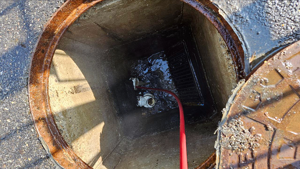 2ed469049671ecf17ae78a48f9d92f1e_1772939177_7357.jpg 2ed469049671ecf17ae78a48f9d92f1e_1772939177_7357.jpg