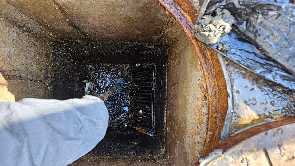 2ed469049671ecf17ae78a48f9d92f1e_1772939221_8418.jpg 2ed469049671ecf17ae78a48f9d92f1e_1772939221_8418.jpg