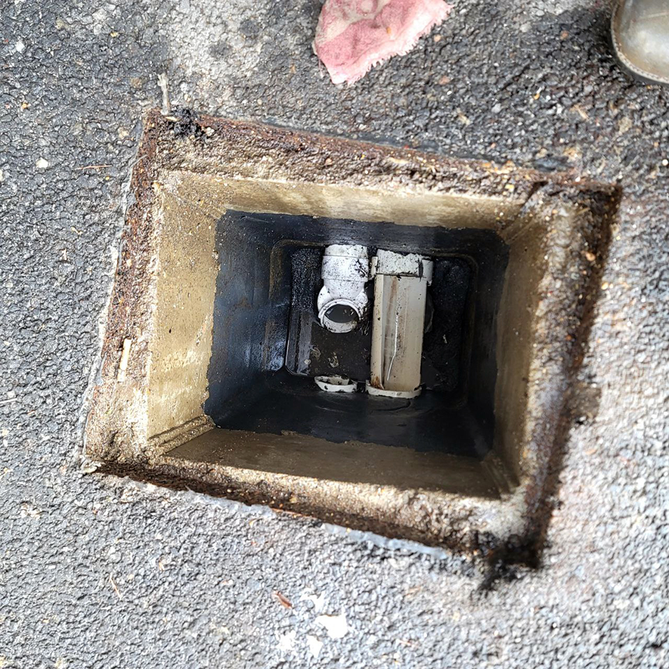 2ed469049671ecf17ae78a48f9d92f1e_1772939336_8834.jpg 2ed469049671ecf17ae78a48f9d92f1e_1772939336_8834.jpg