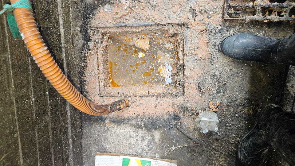 64e66f9f53a95e86965a48a2a386dcca_1774256573_9274.jpg 64e66f9f53a95e86965a48a2a386dcca_1774256573_9274.jpg