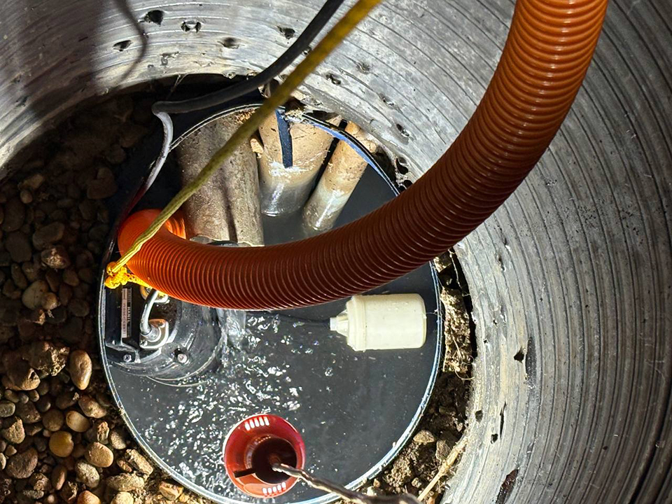 861e2110b5571677e9bf03a058bf7a38_1773024382_2974.jpg 861e2110b5571677e9bf03a058bf7a38_1773024382_2974.jpg