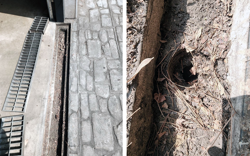 1a74ed86887138525f1c43545799fb4f_1775438156_799.jpg 1a74ed86887138525f1c43545799fb4f_1775438156_799.jpg