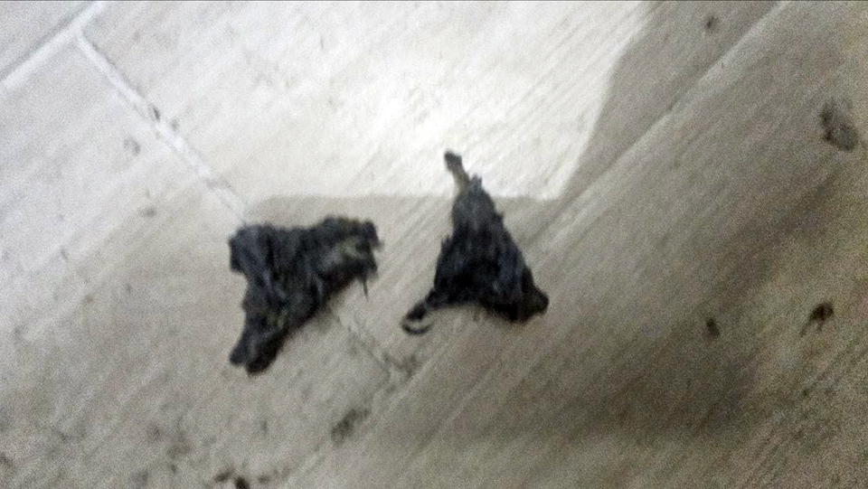 715ff5426ab90b3ea3f06a7c3b7b0205_1778080168_9447.jpg
