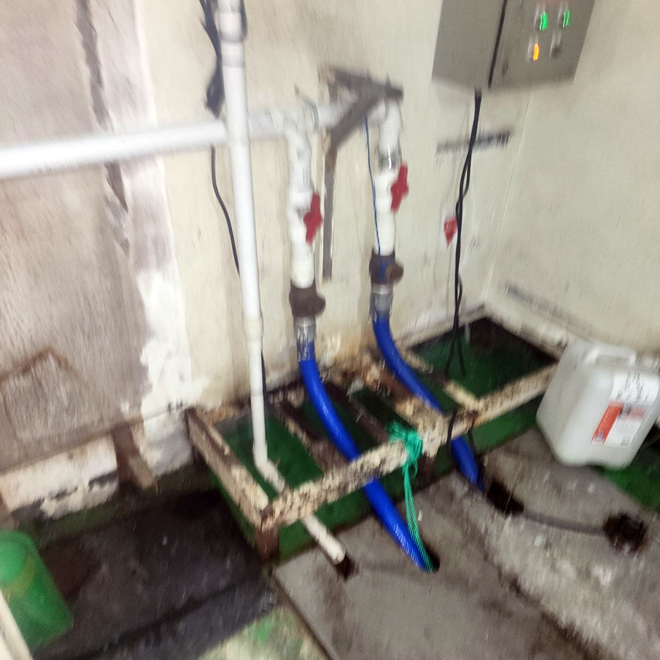 7d1a1cfa4e23a29bb23bf5257ea07725_1780277744_9595.jpg