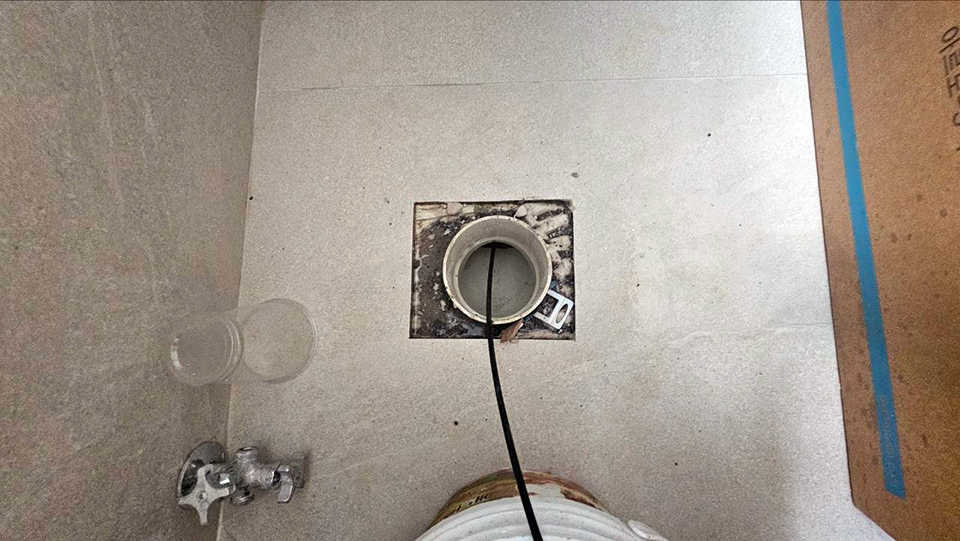 715fe570de2cfec9d7e04b5c50900b13_1786804145_3499.jpg