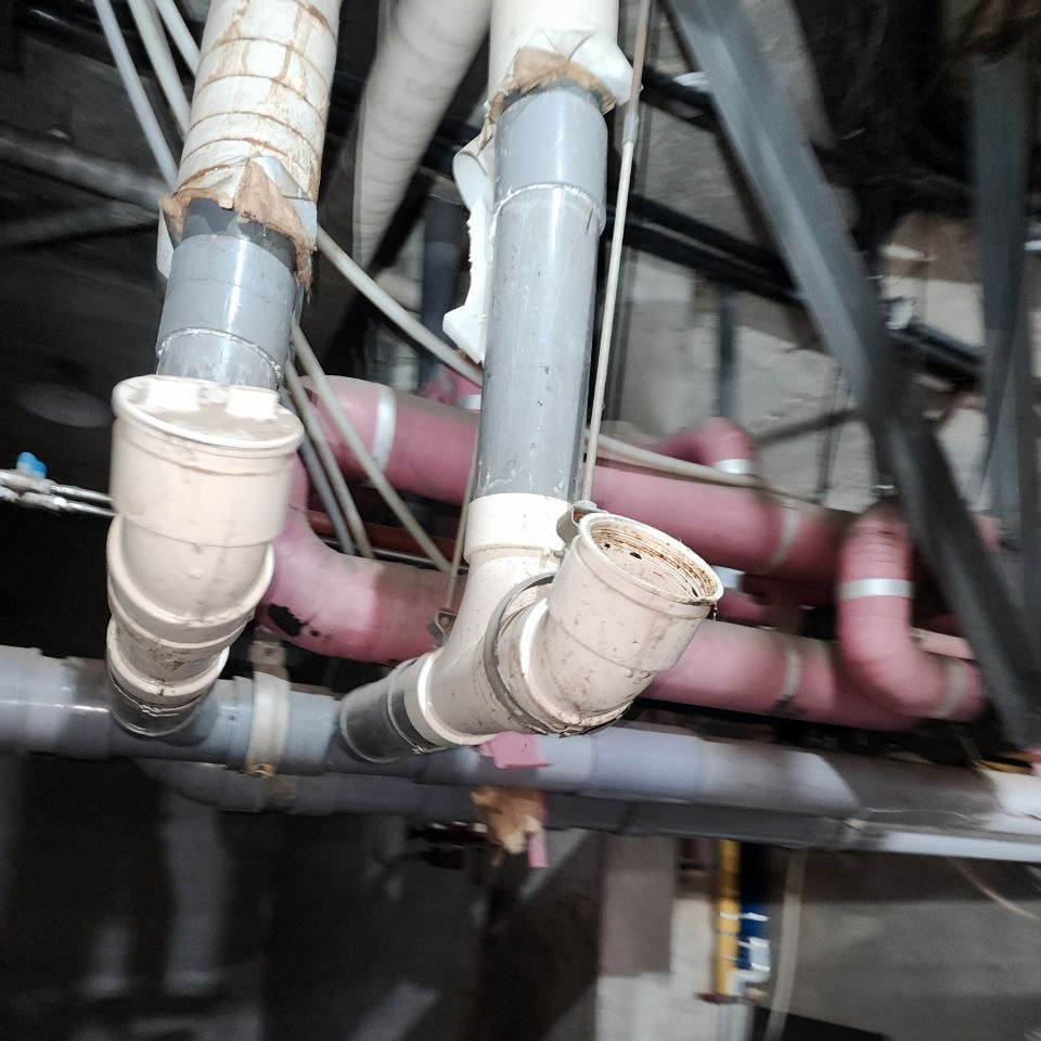 e245665c01c13aff27f4064266fcff09_1787215093_3696.jpg e245665c01c13aff27f4064266fcff09_1787215093_3696.jpg